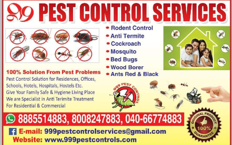 999 Pest Control Services
